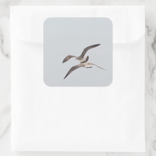 Möwen Quadratischer Aufkleber (Tasche)