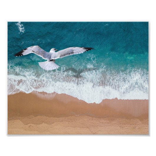 Möwen Strand Foto Druck (Vorne)