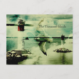 Möwenflug - Die Thousand Islands Postkarte