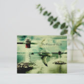 Möwenflug - tausend Inseln Postkarte (Stehend Vorderseite)