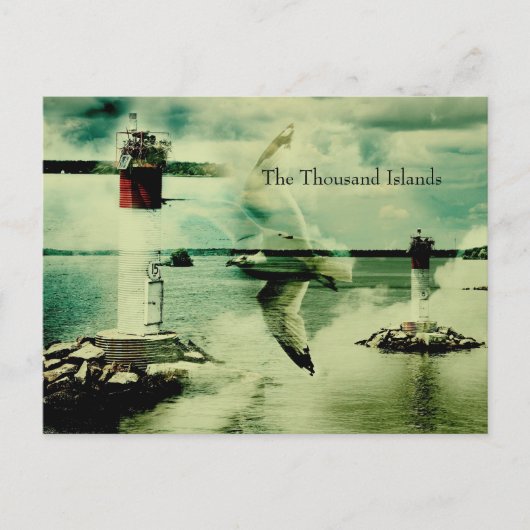 Möwenflug - tausend Inseln Postkarte (Vorderseite)