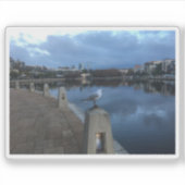 Möwenfoto Aufkleber (Vorderseite)