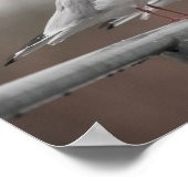 Möwengruppe Poster (Ecke)