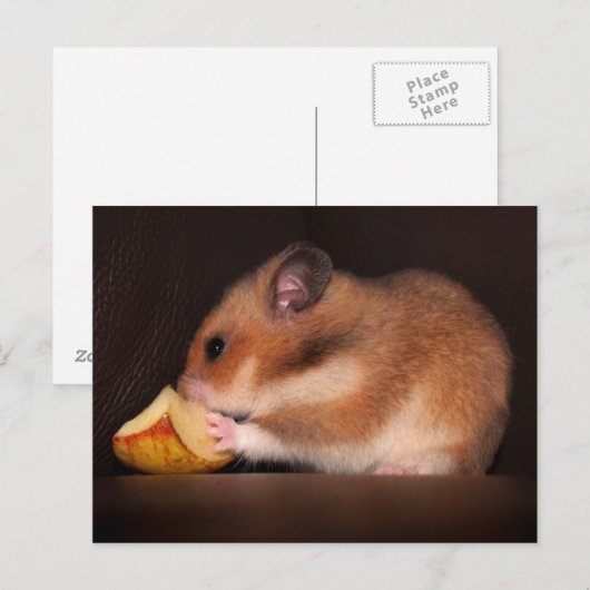 Mowsie Postcard Postkarte (Vorne/Hinten)