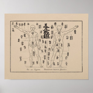 Moxa-Punkte in der japanischen Akupunktur-Moxibust Poster