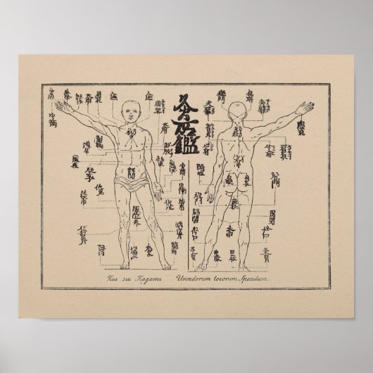 Moxa Punkte in japanischer Akupunktur Moxibustion Poster (Vorne)