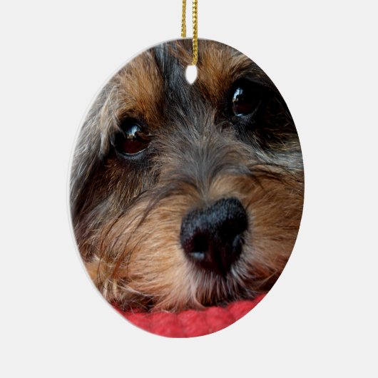 Moxi sauber als Pfeife Shorkie Verzierung Keramikornament (Rechts)