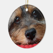 Moxi sauber als Pfeife Shorkie Verzierung Keramikornament (Links)