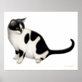 Moxie der Tuxedo Katze Print Poster (Vorne)