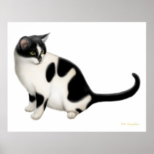 Moxie der Tuxedo Katze Print Poster