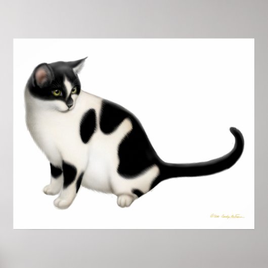 Moxie der Tuxedo Katze Print Poster (Vorne)