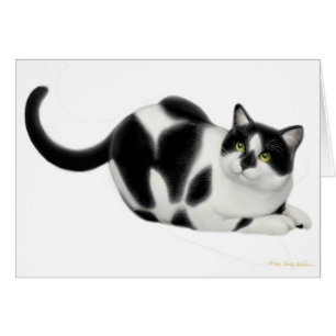 Moxie die Katzen-Karte