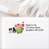 Moxie-Katze mit Schmetterlingsmarke (Insitu)