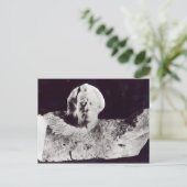 Mozart , 1911 postkarte (Stehend Vorderseite)