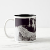 Mozart, 1911 zweifarbige tasse (Links)