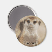 Mozart Magnet (Vorderseite/Rückseite)