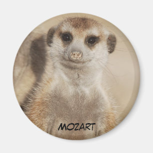 Mozart-Magnet Magnet