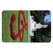 Mozart-Musikstatue Magnet (Horizontal)