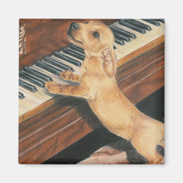 Mozarts Lehrling Magnet