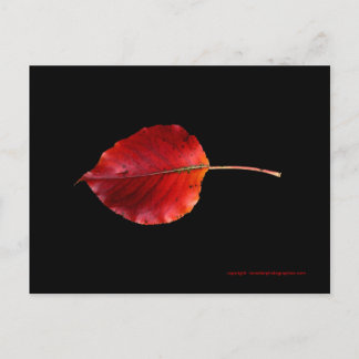 MP 0215B, Leaf 2 WC Postkarte