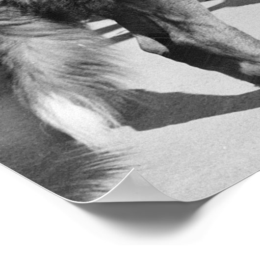 MP Mascot: 1942 Poster (Ecke)