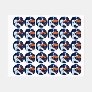 Mr. 365 Cricket Stickers Etiketten