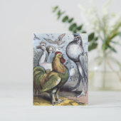 "Mr Bantam" Vintage Illustration Postkarte (Stehend Vorderseite)
