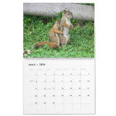 Mr. Bickles The Squirrel 2026 calendar Kalender (Mär 2026)