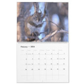 Mr. Bickles The Squirrel 2026 calendar Kalender (Feb 2026)