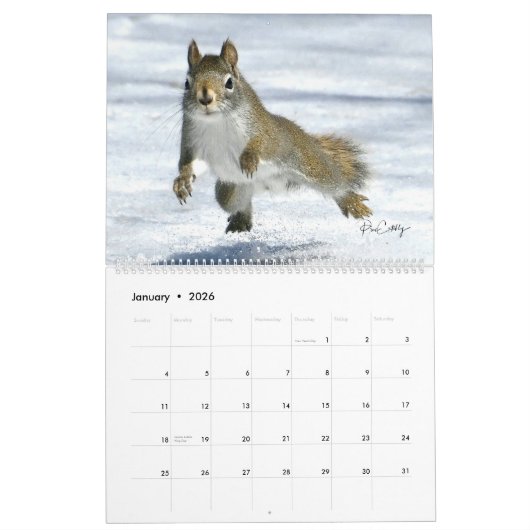 Mr. Bickles The Squirrel 2026 calendar Kalender (Jan 2026)