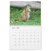 Mr. Bickles The Squirrel - medium calendar two pag Kalender (Mär 2026)