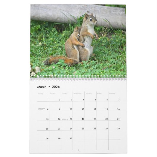 Mr. Bickles The Squirrel - medium calendar two pag Kalender (Mär 2026)