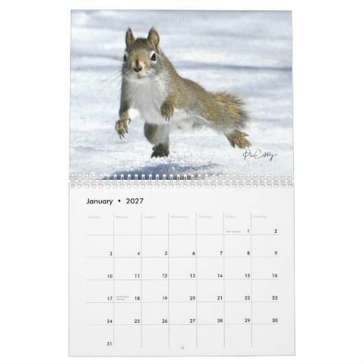 Mr. Bickles The Squirrel - medium calendar two pag Kalender (Jan 2027)