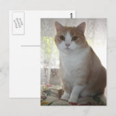 Mr. Big Eyes Postkarte (Vorne/Hinten)