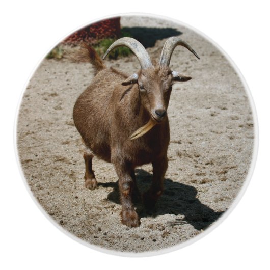 Mr. Bill Keramikknauf (Vorderseite)