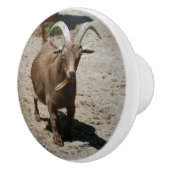 Mr. Bill Keramikknauf (Rechts)