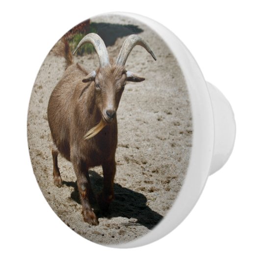 Mr. Bill Keramikknauf (Rechts)