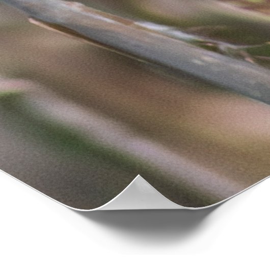 Mr. Blackbird Poster (Ecke)