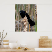 Mr. Blackbird Poster (Küche)