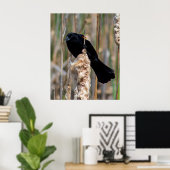 Mr. Blackbird Poster (Heimbüro)