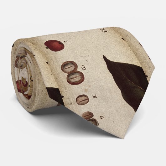 Mr. Hooton Coffee Botanical Krawatte (Gerollt)