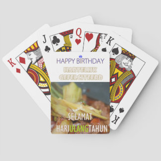 MR Main Kartu Spielkarten