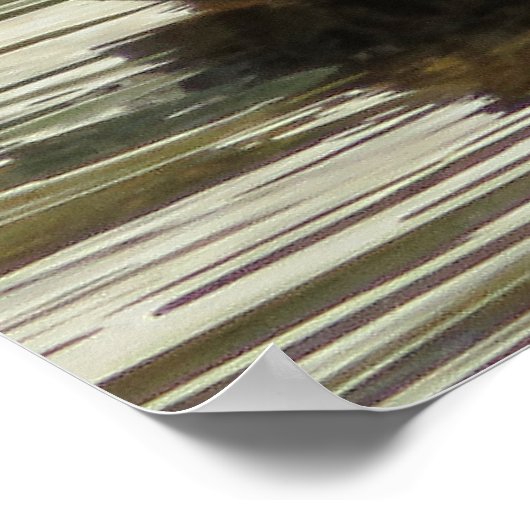 Mr. Quack Poster (Ecke)