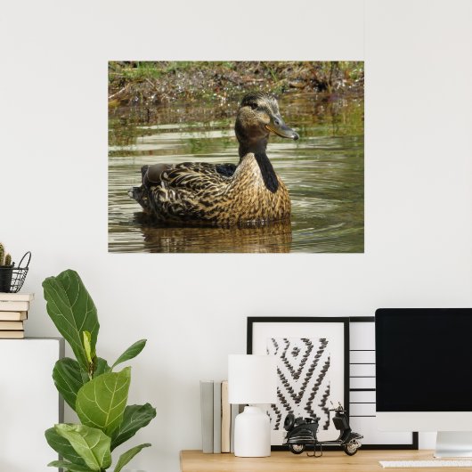 Mr. Quack Poster (Heimbüro)