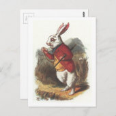 Mr. Rabbit! Postkarte (Vorne/Hinten)