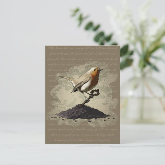 Mr. Robin Finds the Key, postcard Postkarte (Stehend Vorderseite)