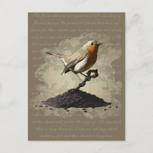 Mr. Robin Finds the Key, postcard Postkarte