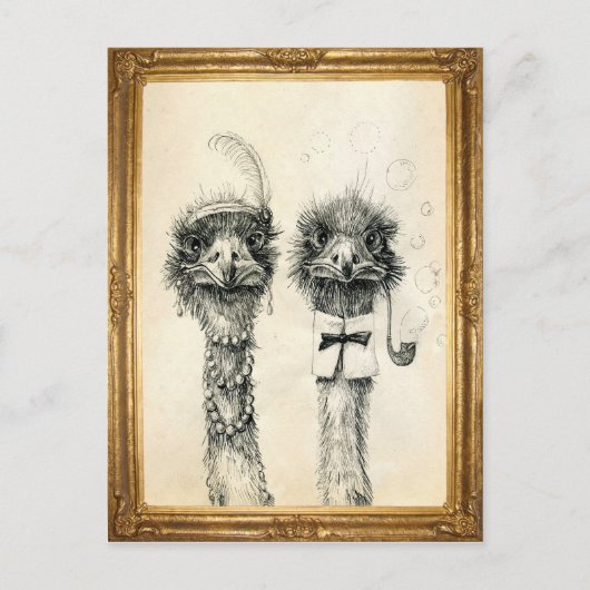 Mr. und Mrs. Ostrich gerahmt Postkarte (Vorderseite)