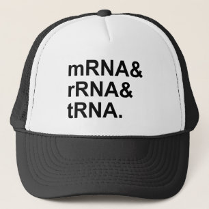 mRNA rRNA tRNA   RNA-Typen Truckerkappe