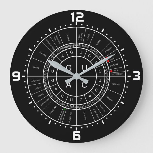 mRNA to AMINO ACID CODON WHEEL Große Wanduhr (Vorderseite)